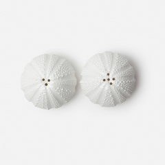 Sea Urchin Salt and Pepper Shakers