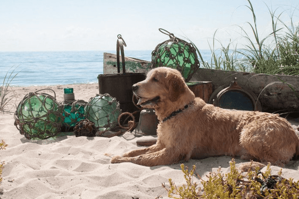 Glass Floats - Authentic Seaglass Floats - Our Boat House