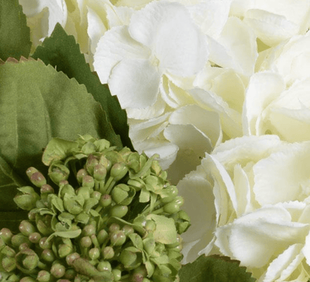 Hydrangea Bud Arrangment - Our Boat House