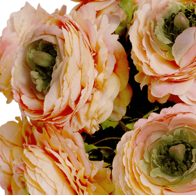 Peach Ranunculus Arrangement - Our Boat House