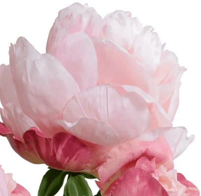 Pink Peony Cutting in Porcelain - Our Boat House