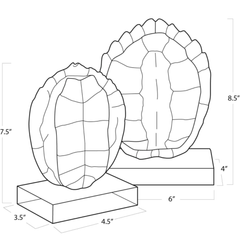 Turtle Shells on Crystal Stands s/2 - Our Boat House