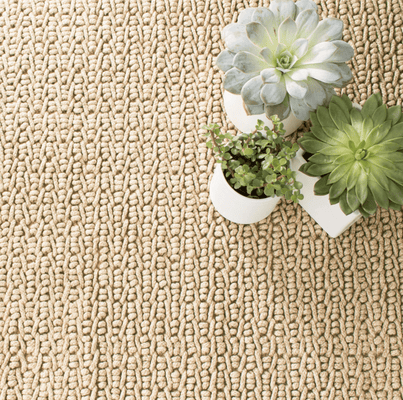 Veranda Natural - Indoor/Outdoor Rug - Our Boat House