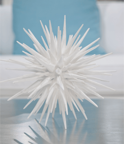 White Sea Urchin - Three Sizes - Our Boat House