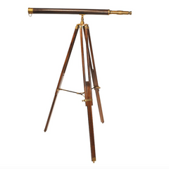 Brass Telescope Mounted on Rosewood Stand